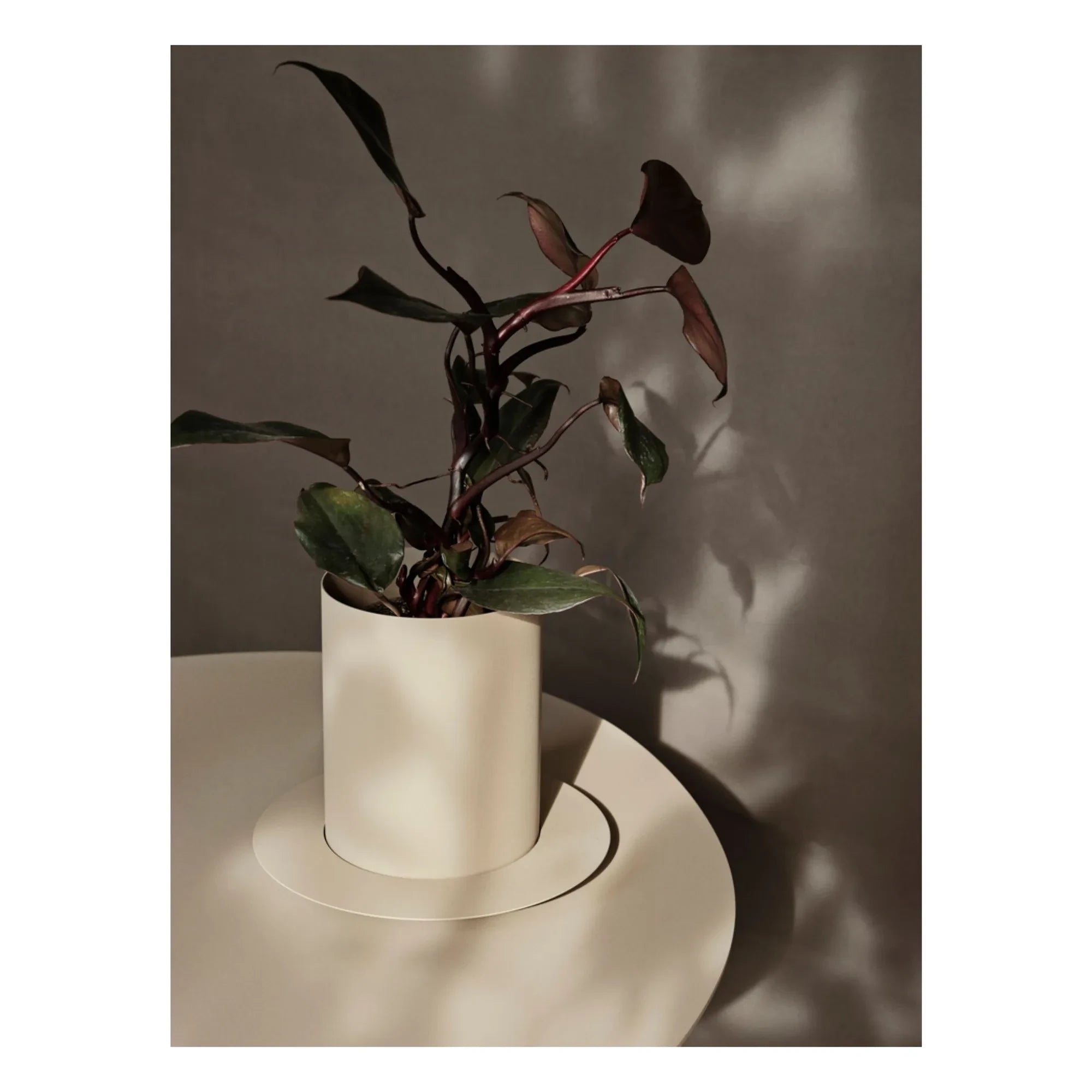 Ferm Living - Maceta Auran | Beige