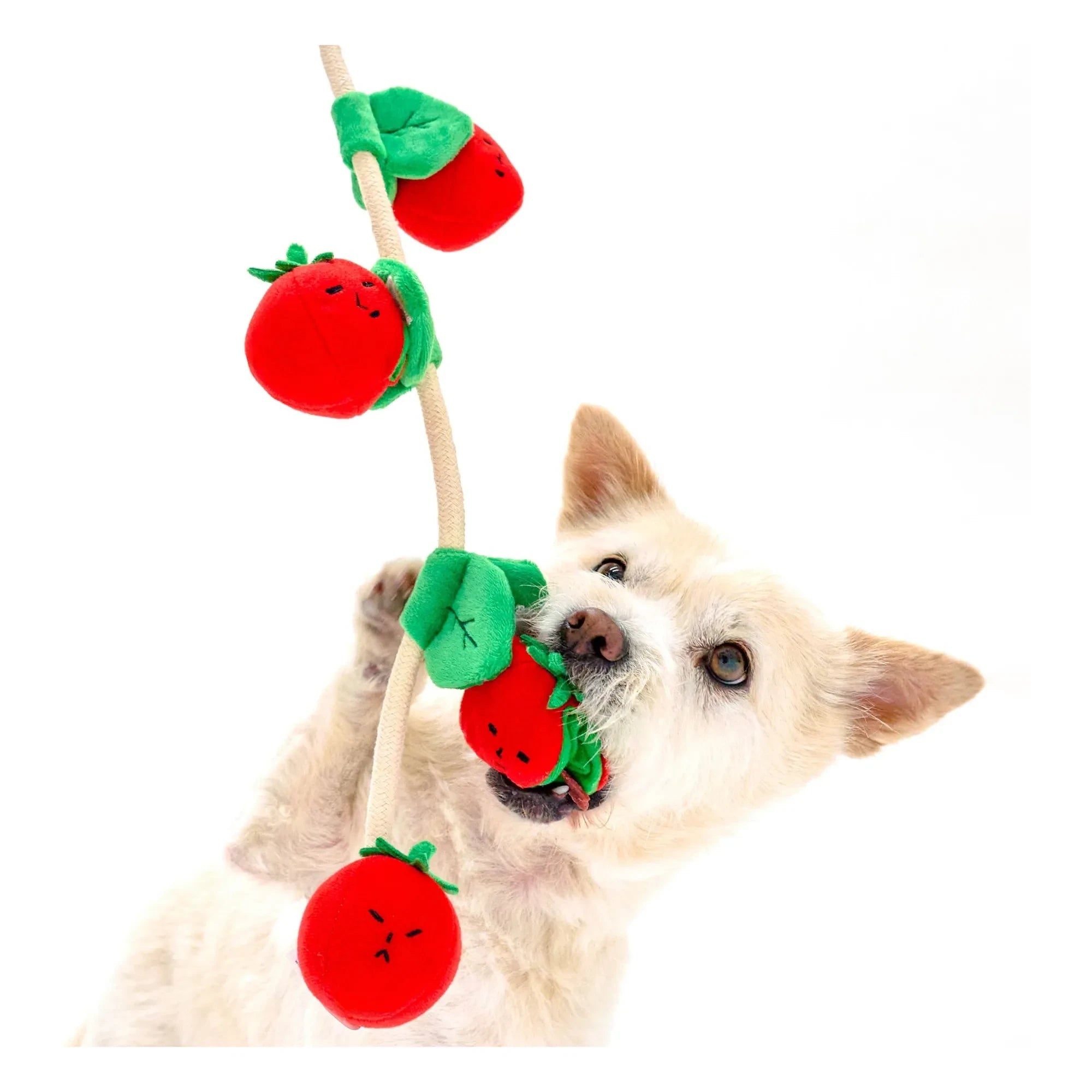 The Furry Folks - Juguete rascador Tomate Cereza | Rojo Tomate