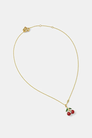 Collar de entrenador