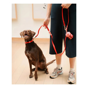 Approved by Fritz - Collar para perros | Rojo cereza