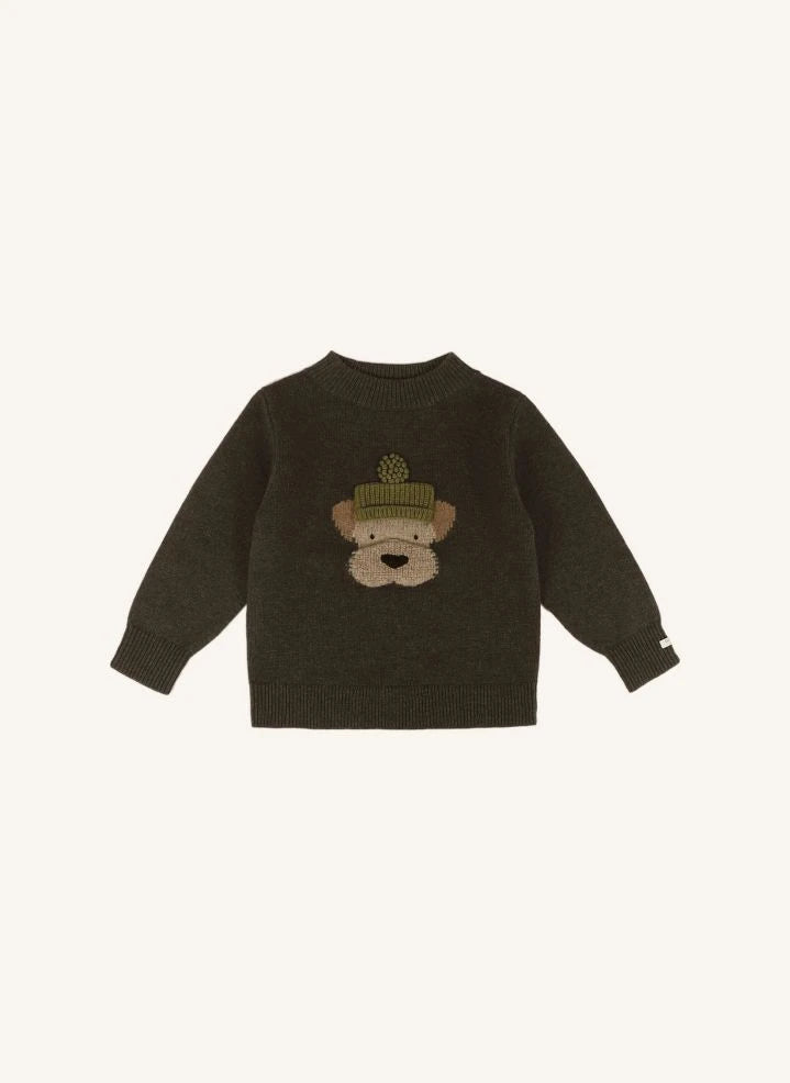 Donsje - Denn Dog Suéter de lana merino | Verde oscuro
