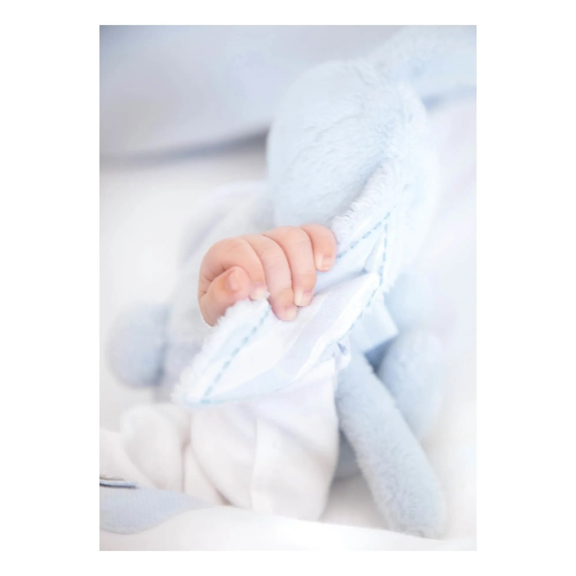 Tartine et Chocolat - Peluche de Conejo Ultra Suave Augustin | Azul claro