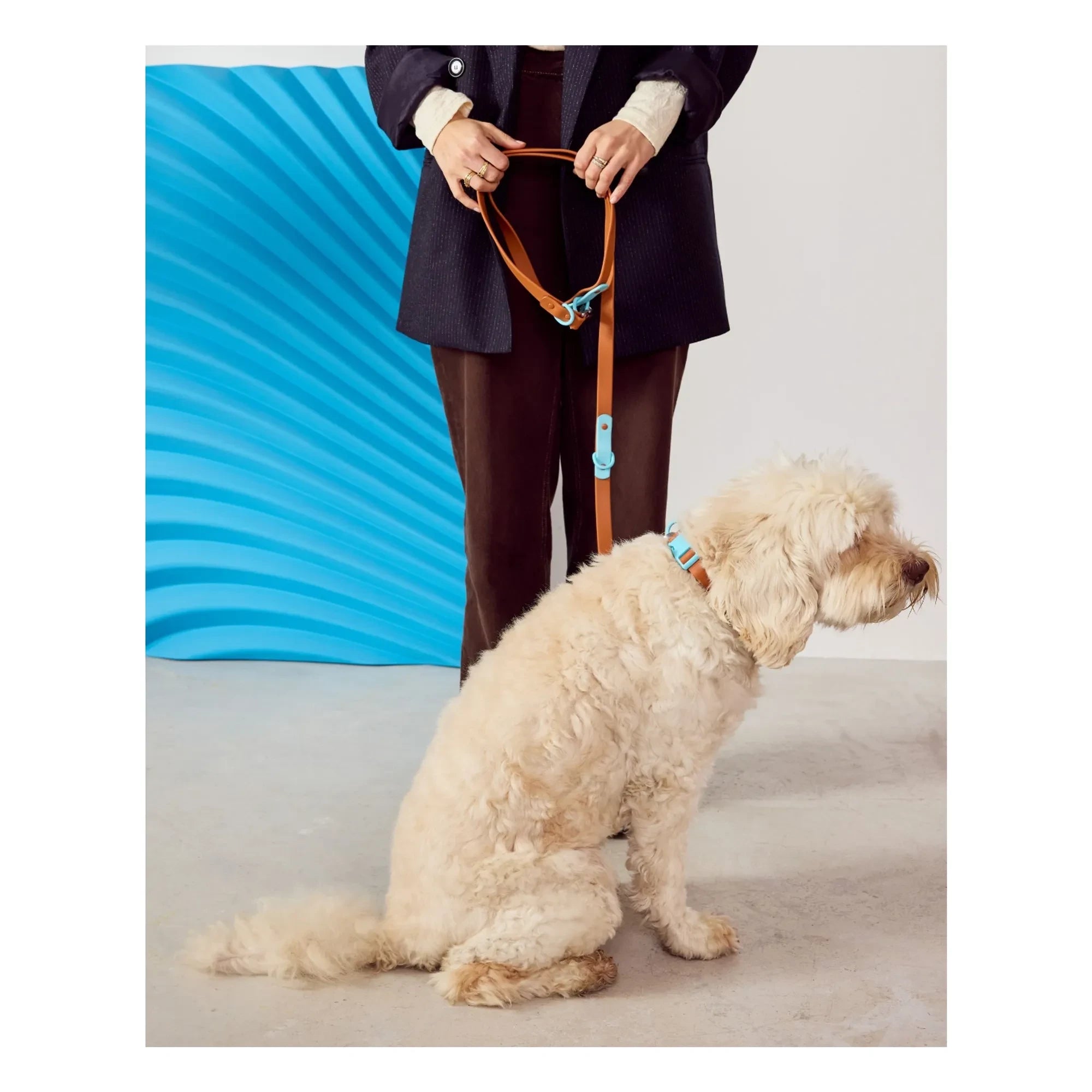 Aprobado por Fritz - Collar de perro ajustable | Chocolate