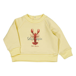 Loir - Sudadera de langosta | Amarillo pálido