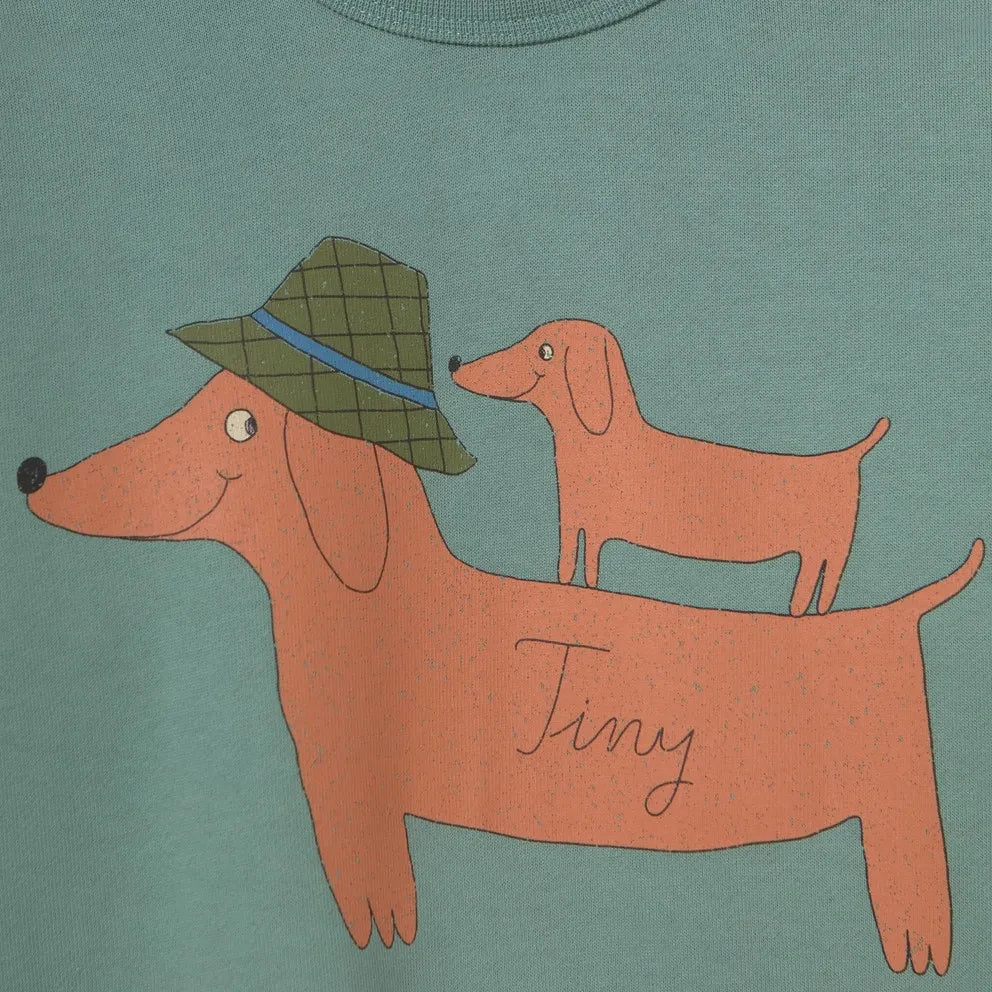 Tinycottons - Sudadera de algodón orgánico para perros | Agua verde