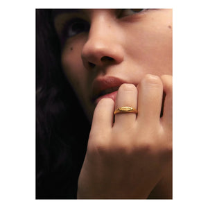 Alhaja - Bonito anillo de sello | Oro