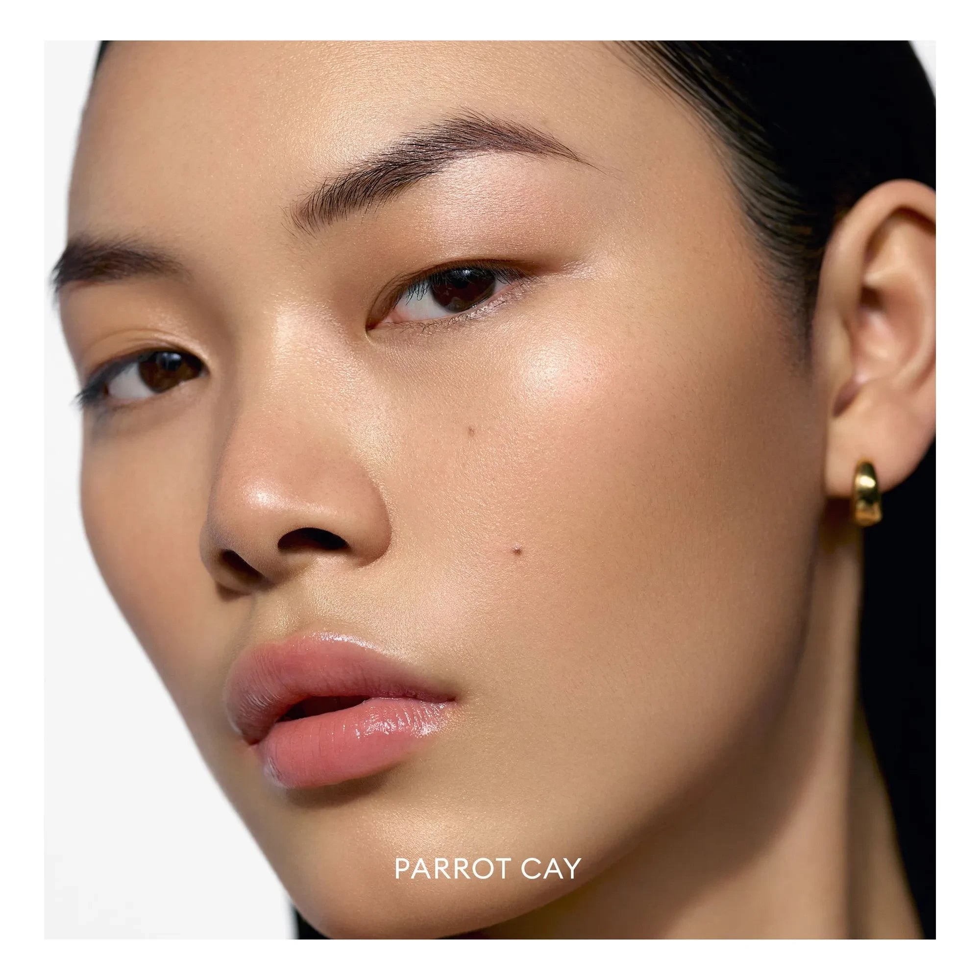 Rose Inc - Solar Infusion Bronceador con enfoque suave | Parrot Cay