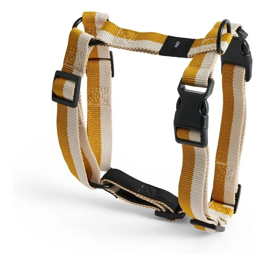 Hay - Cinturones | Off-White