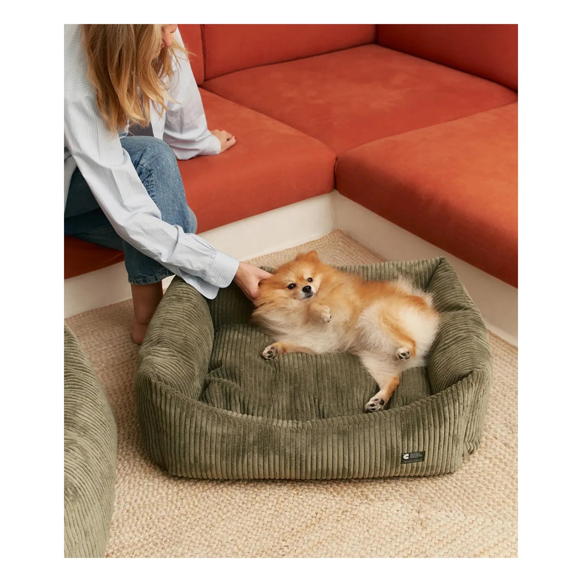 Cafide - Cama para perro de terciopelo Snozy | Verde