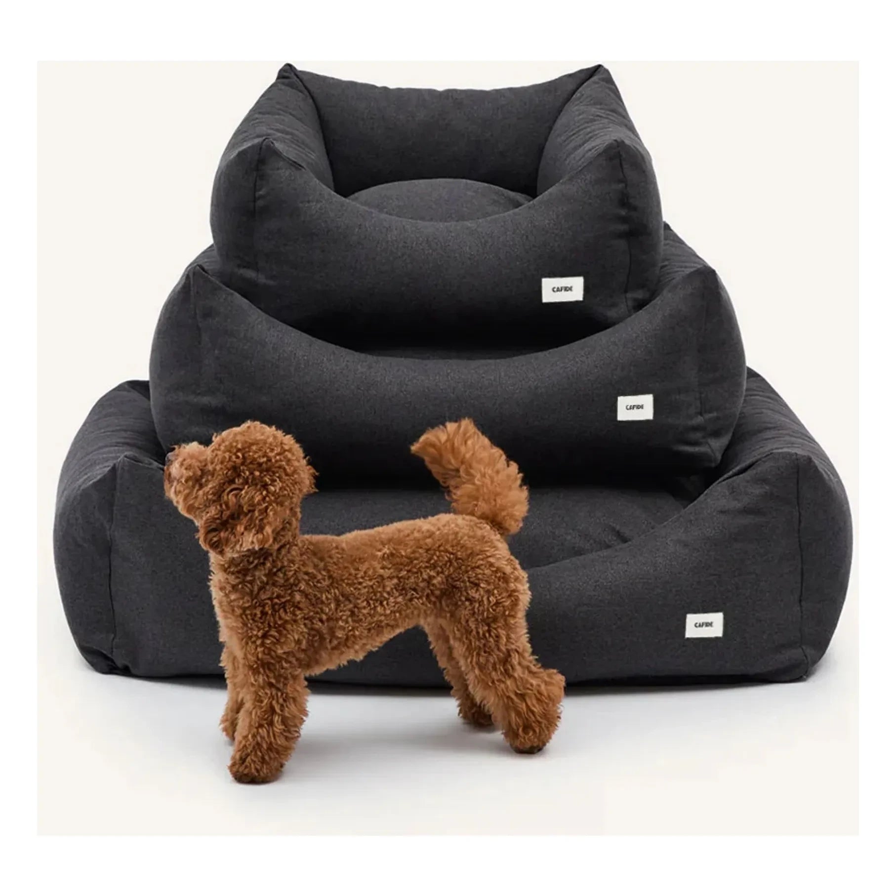 Cafide - Cama para perros Snozy | Negro