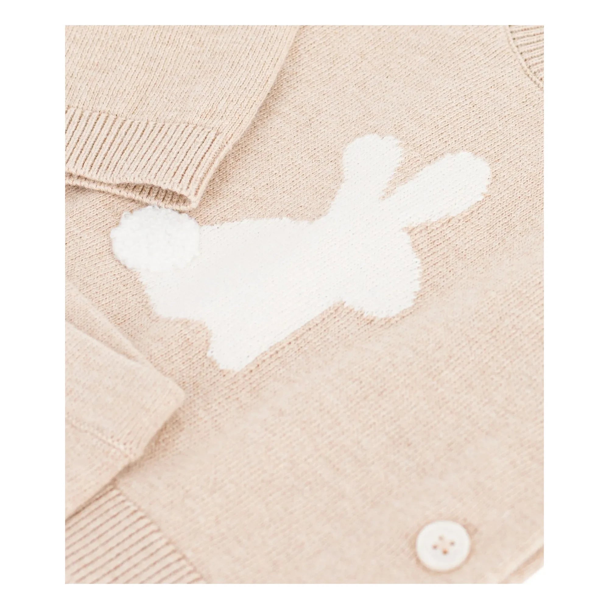 Petit Bateau - Conjunto de suéter y pantalón de punto de algodón orgánico | Beige