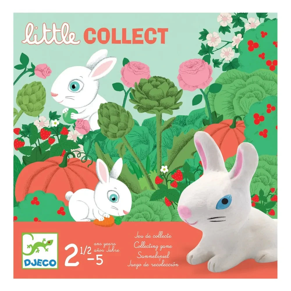 Djeco - Juego Little Collect