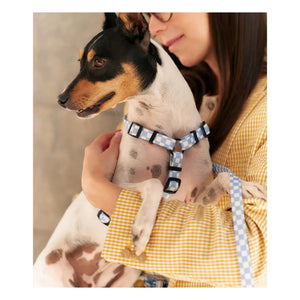 Cafide - Arnés para perros Juno | Azul claro