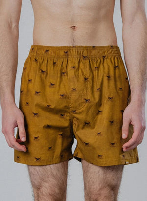 Pockies - Beagle Boxer | Hardal