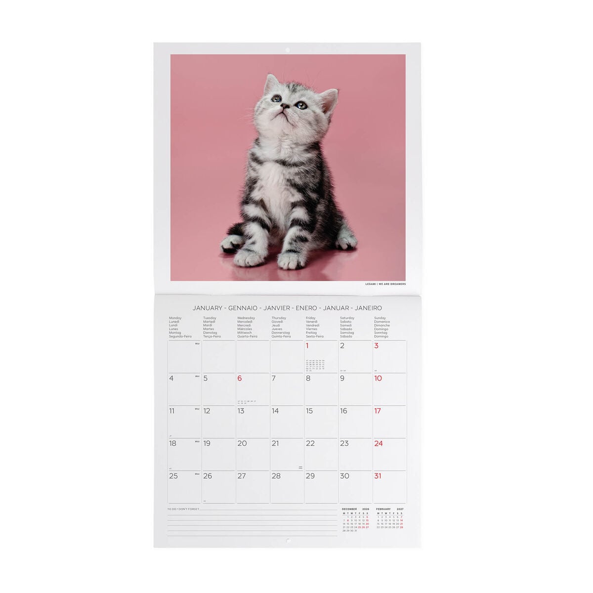 Legami - Calendario de Pared 2027 Kittens - 30 x 29 cm
