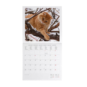 Calendario de pared Legami - Gatos 2027 - 30 x 29 cm
