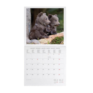 Legami - Calendario de Pared Baby Animals 2027 - 30 x 29 cm