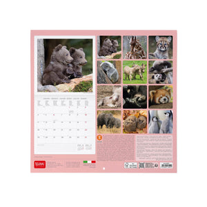 Legami - Calendario de Pared Baby Animals 2027 - 30 x 29 cm