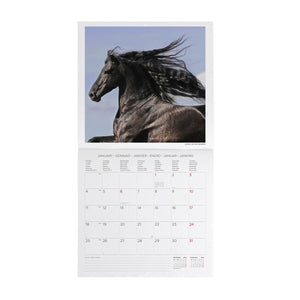 Legami - Calendario de Pared Caballos Salvajes 2027 - 30 x 29 cm