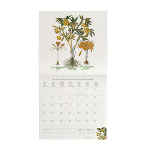 Calendario de pared Herbarium 2027 de Legami - 30 x 29 cm