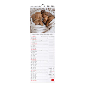 Legami - Calendario de Pared 2027 Perritos - 16 x 49 cm