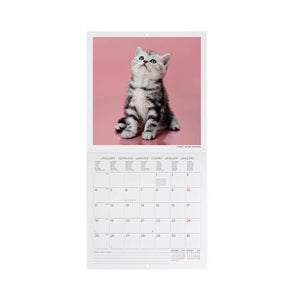 Calendario de pared Legami - Gatitos 2027 - 18 x 18 cm