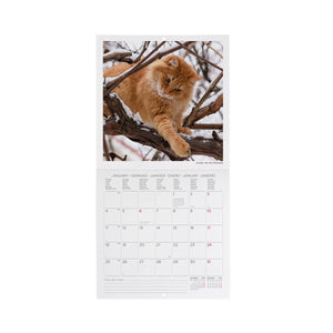 Legami - Calendario de pared Cats 2027 - 18 x 18 cm
