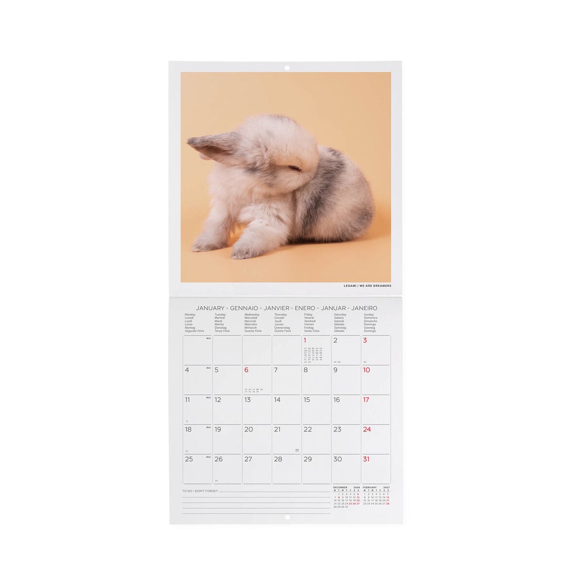 Legami - Calendario de pared Conejo Honey 2027 - 18 x 18 cm
