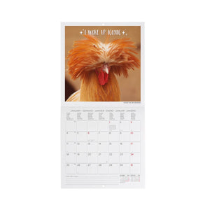 Legami - Calendario de pared Take It Easy 2027 - 18 x 18 cm