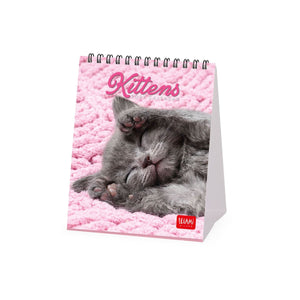 Legami - Calendario de escritorio Gatitos 2027 - 12 x 14,5 cm