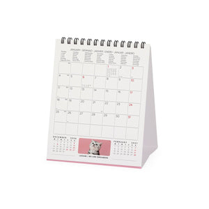 Legami - Calendario de escritorio Gatitos 2027 - 12 x 14,5 cm