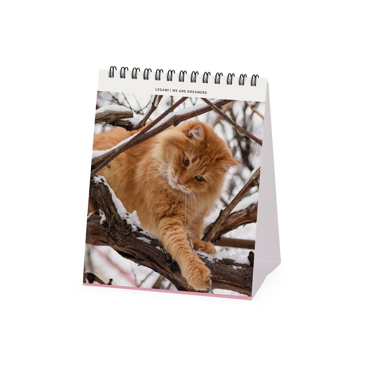 Legami - Cats 2027 Calendario de Mesa - 12 x 14,5 cm