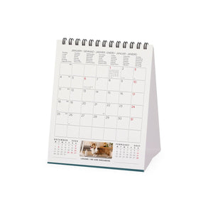 Legami - Calendario de Escritorio Supawstar 2027 - 12 x 14,5 cm
