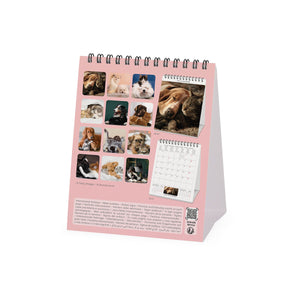 Legami - Calendario de escritorio Best Amigas 2027 - 12 x 14,5 cm