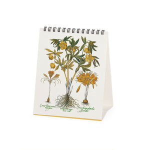 Legami - Calendario de escritorio Herbarium 2027 - 12 x 14,5 cm