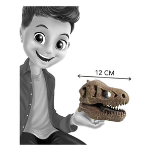 Buki - Kit de arqueología - Cráneo de dinosaurio de museo