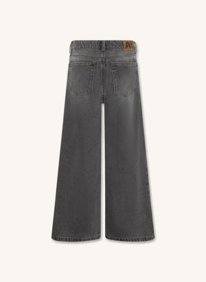 AO76 - Jean Zina Blake | Denim gris