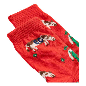 Bobo Choses - Calcetines de granja de algodón orgánico | Rojo