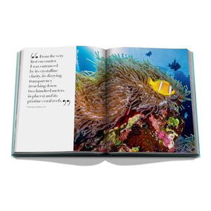 Assouline - Mar Rojo: La costa de Arabia Saudita