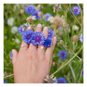 Adorabili - Anillo de Sol | Oro