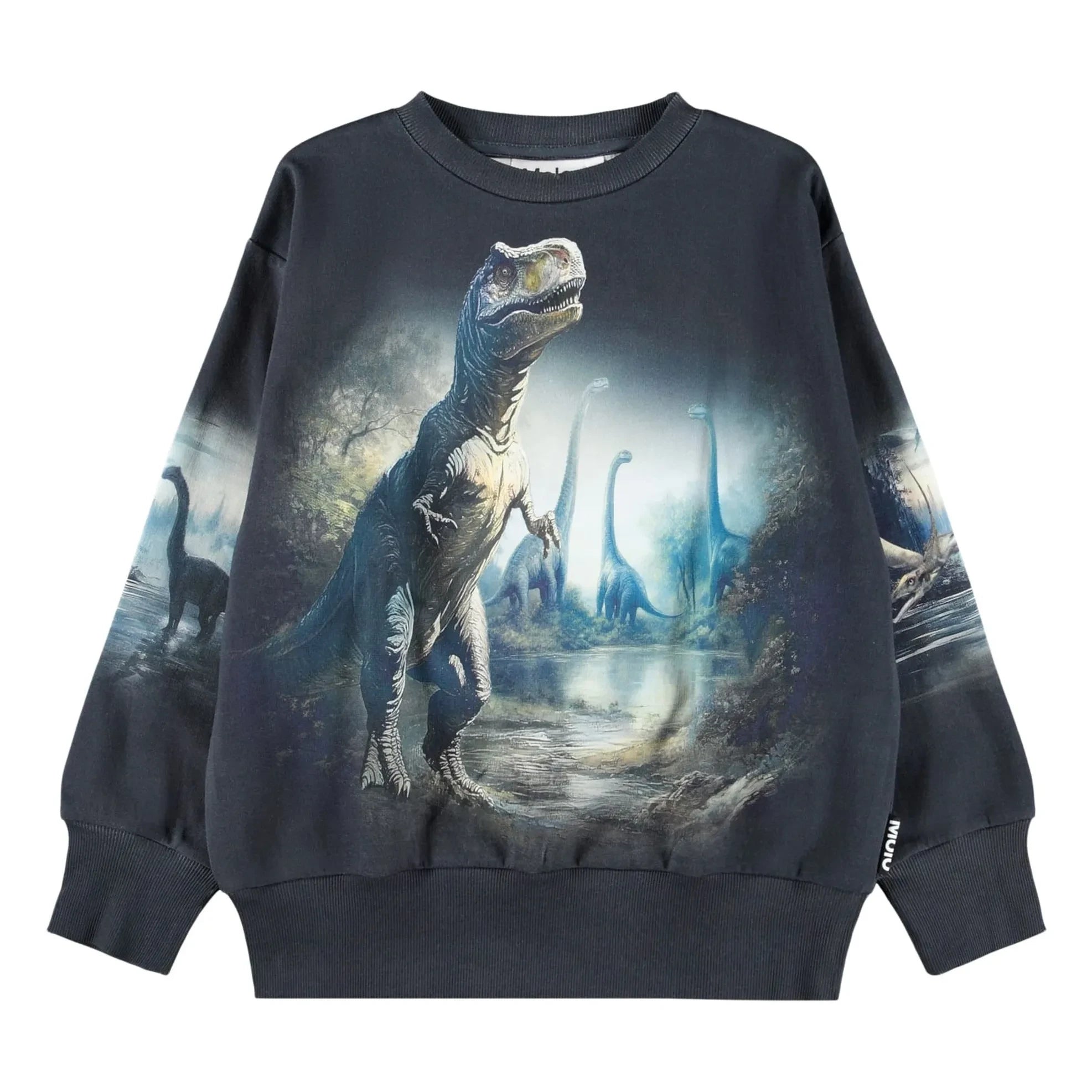 Sudadera Molo - Mattis Dinosaurs de algodón orgánico | Negro