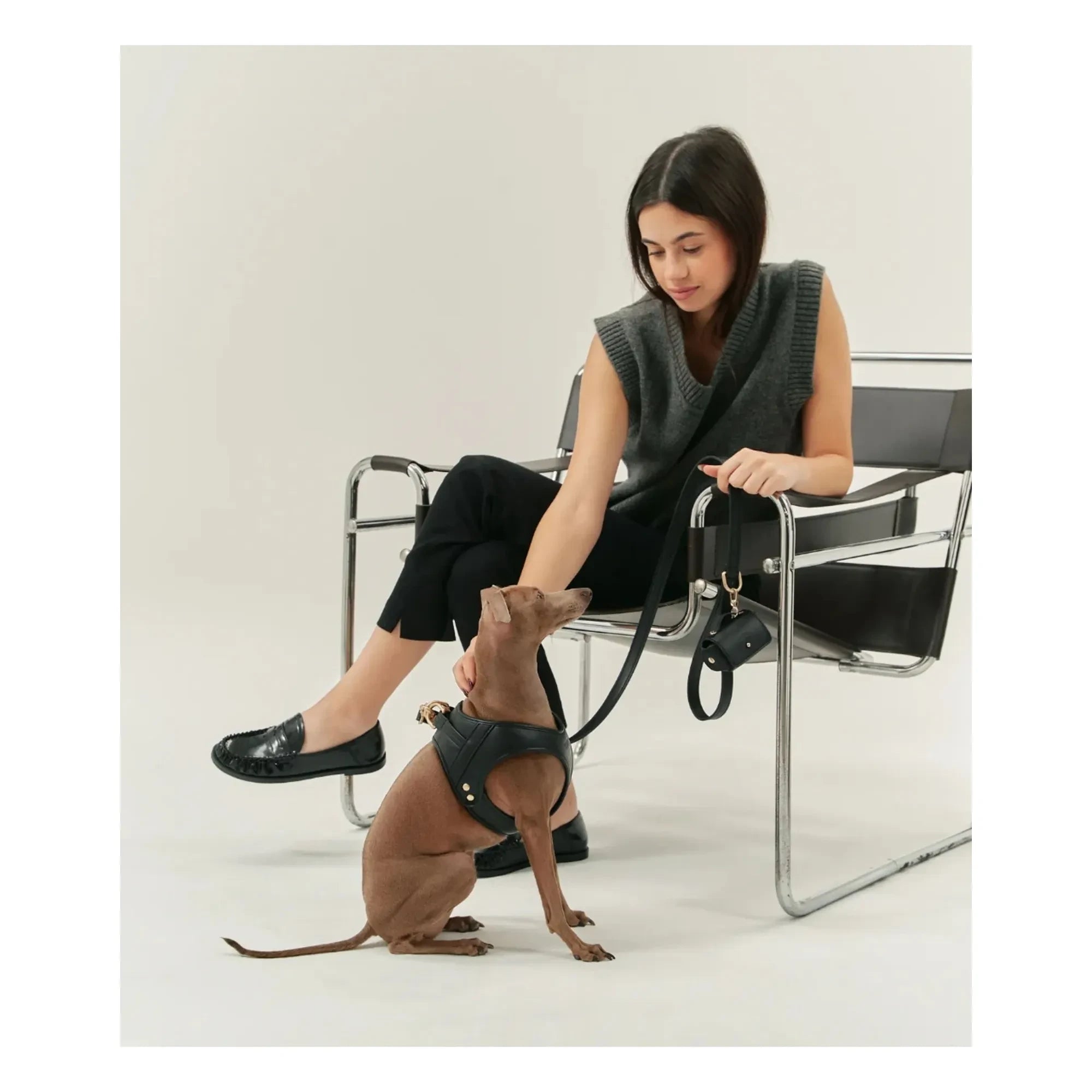 Cafide - Collar de perro de piel vegana | Negro