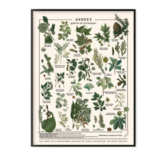Les Jolies Planches - Panel de madera