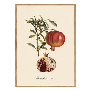 The Dybdahl Co. - Póster de Granada Dulce Frutal