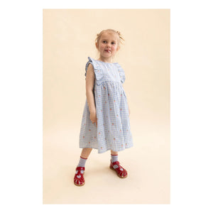 Flöss - Vestido Millie Gingham | Azul claro