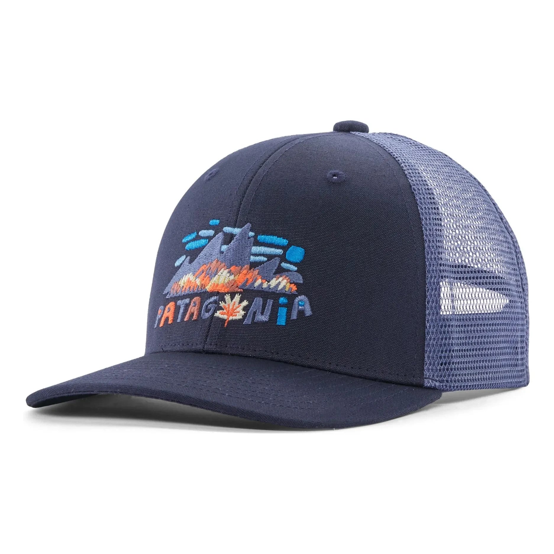 Patagonia - Gorra de camionero de algodón orgánico | Azul