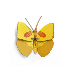 Studio Roof - Decoración de pared de mariposas