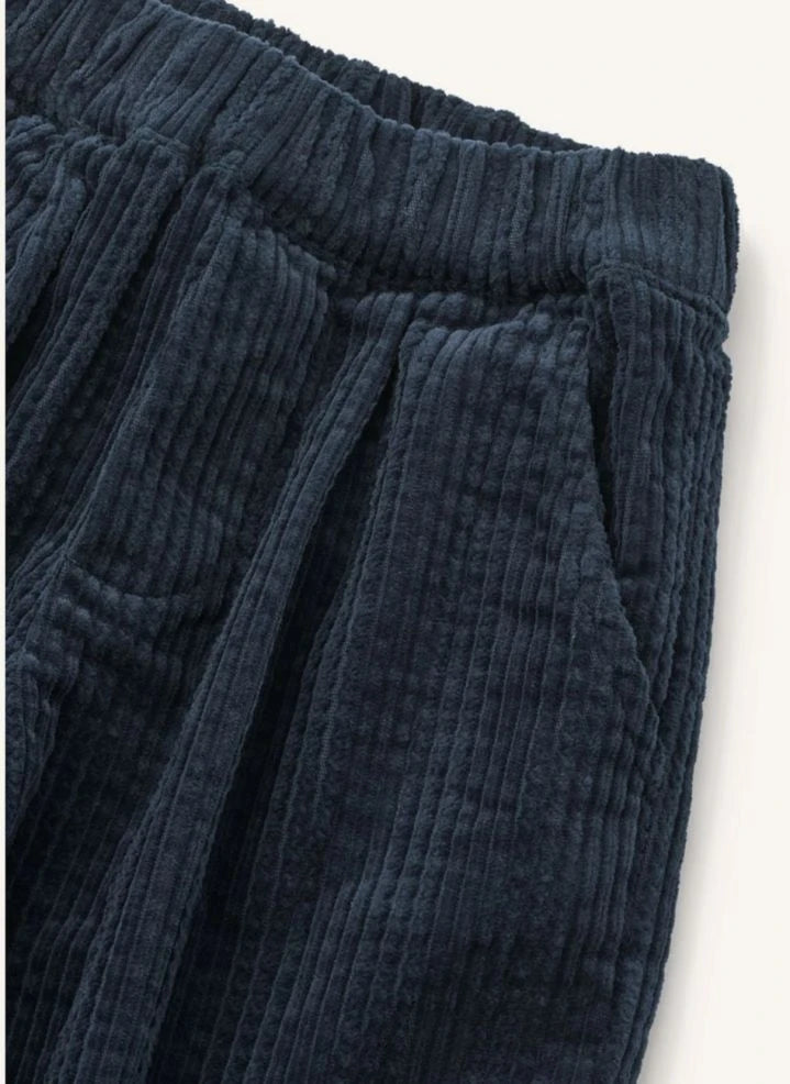 Liewood - Pantalones de terciopelo orgánico Borris | Azul marino