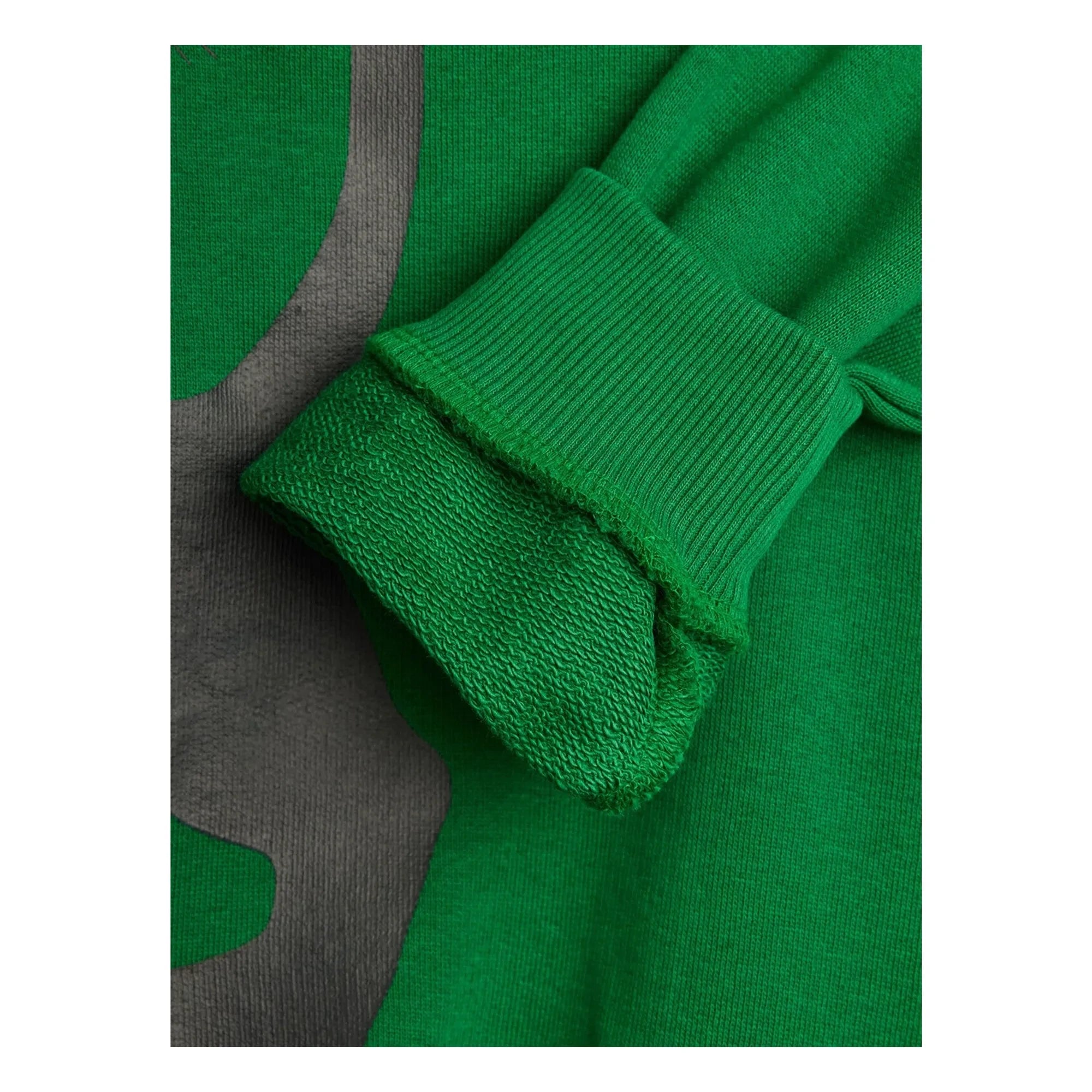 Mini Rodini - Sudadera de algodón orgánico con estampado de pantera | Verde