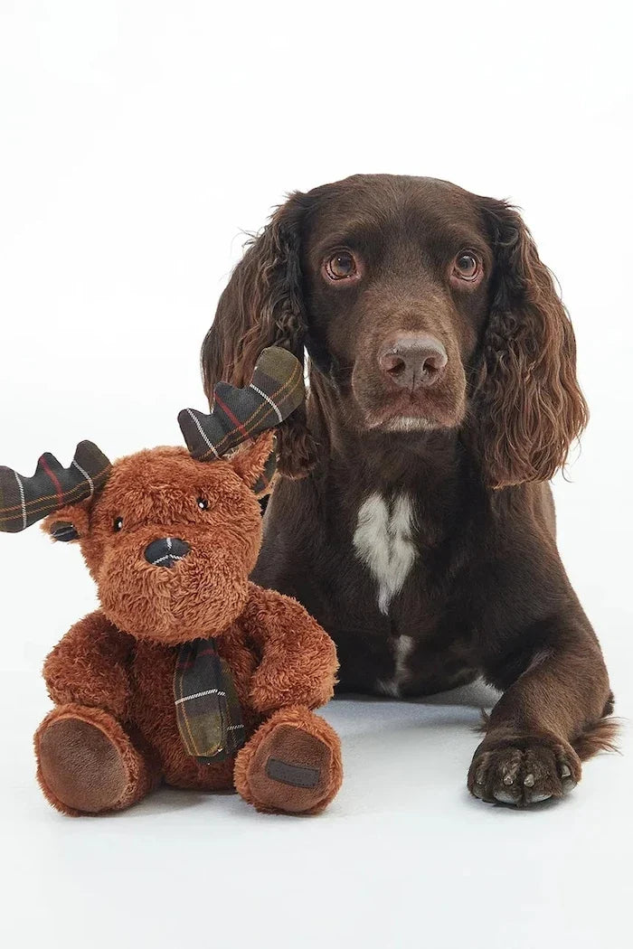 Juguete para perro Barbour Reno 19 cm
